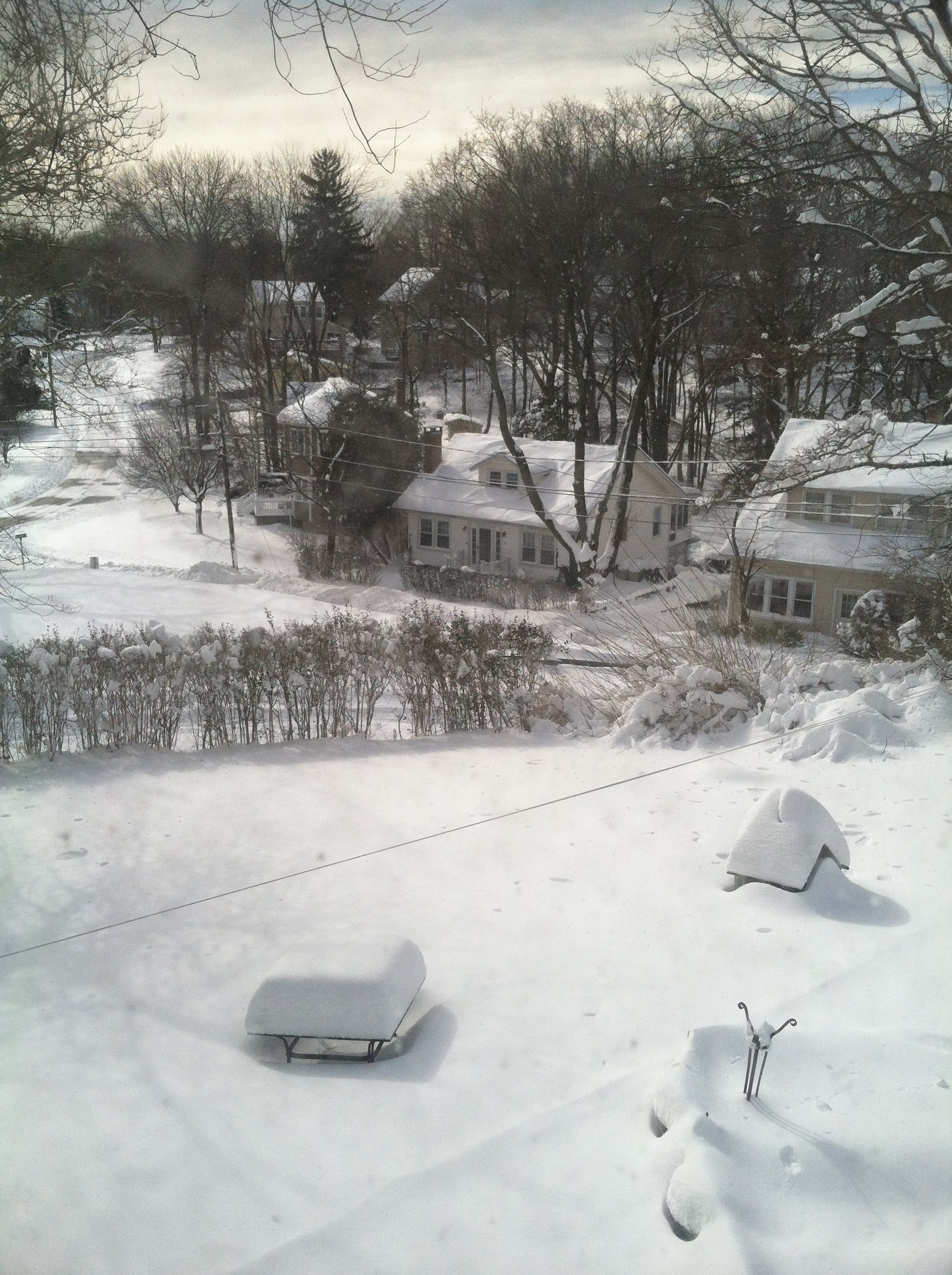 from the bedroom window 2